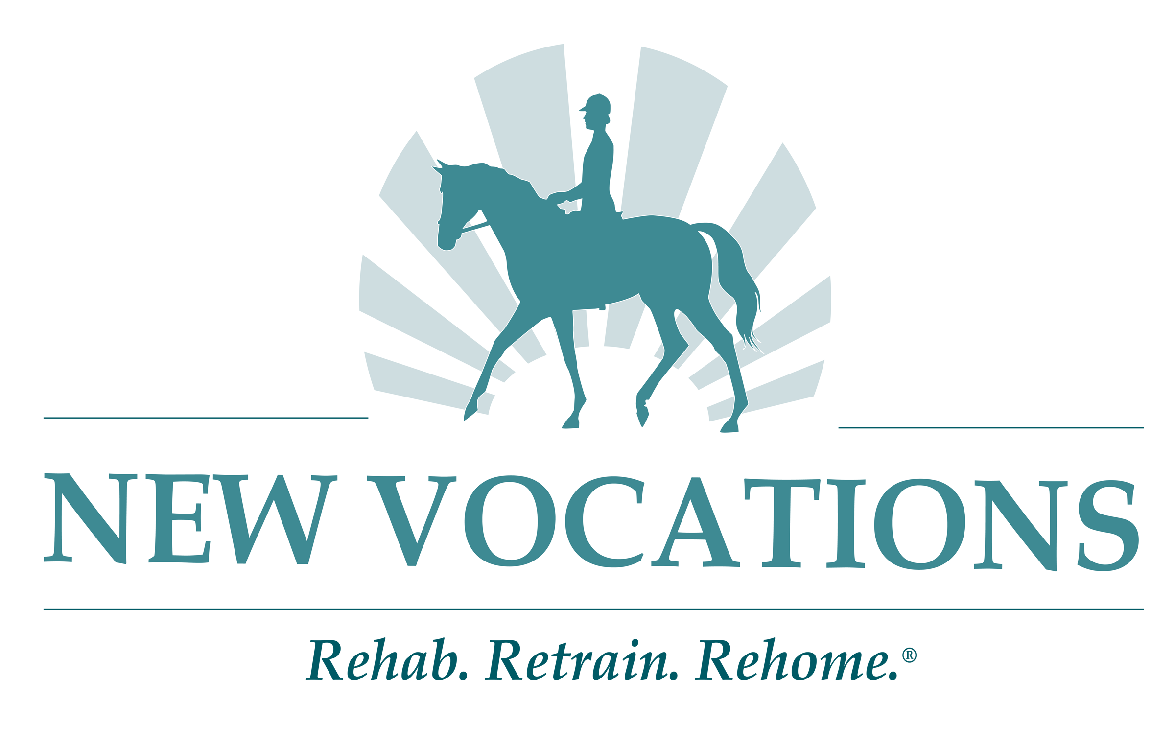 Retired racehorse aftercare image