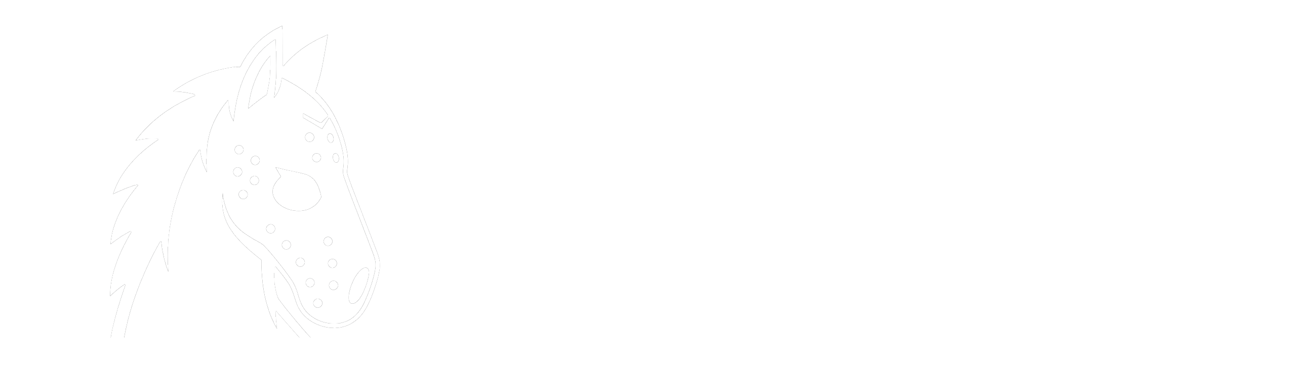 Hockey For Horses logo